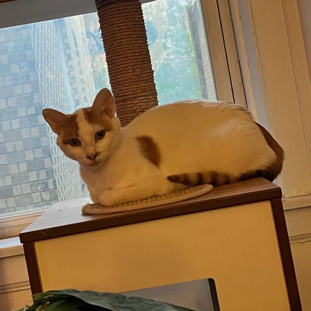 Rita
