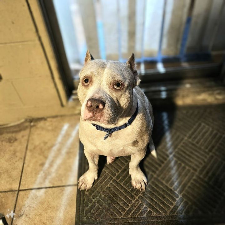 Big Billy 3