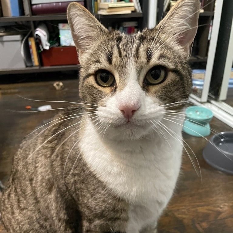 Max