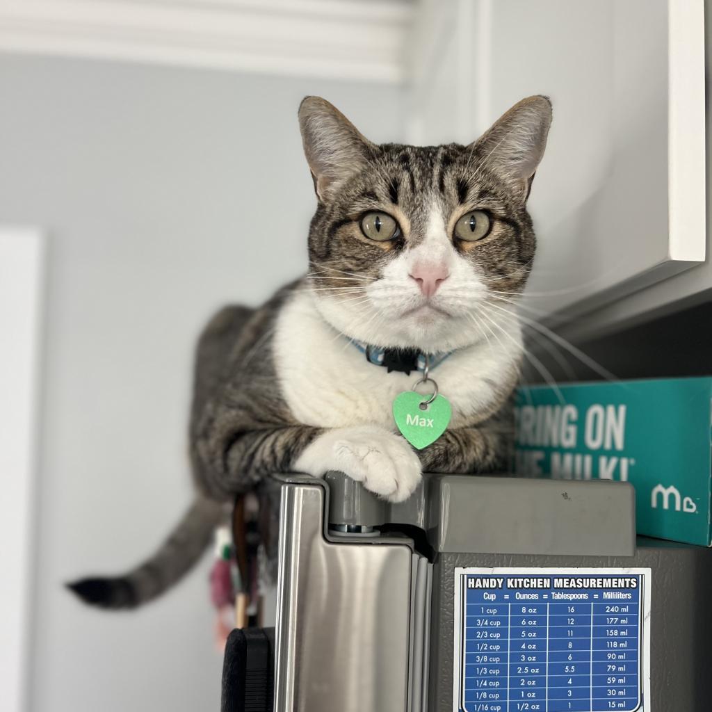 Max