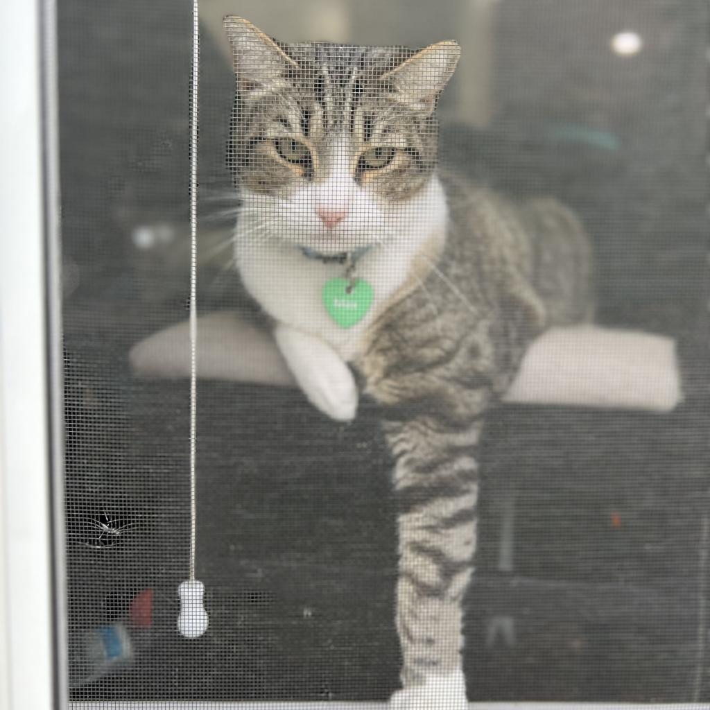Max