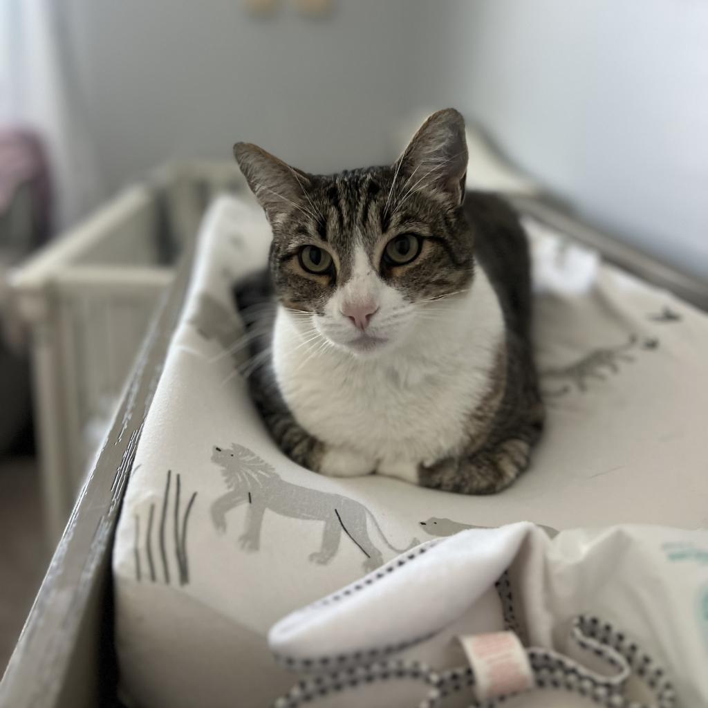 Max