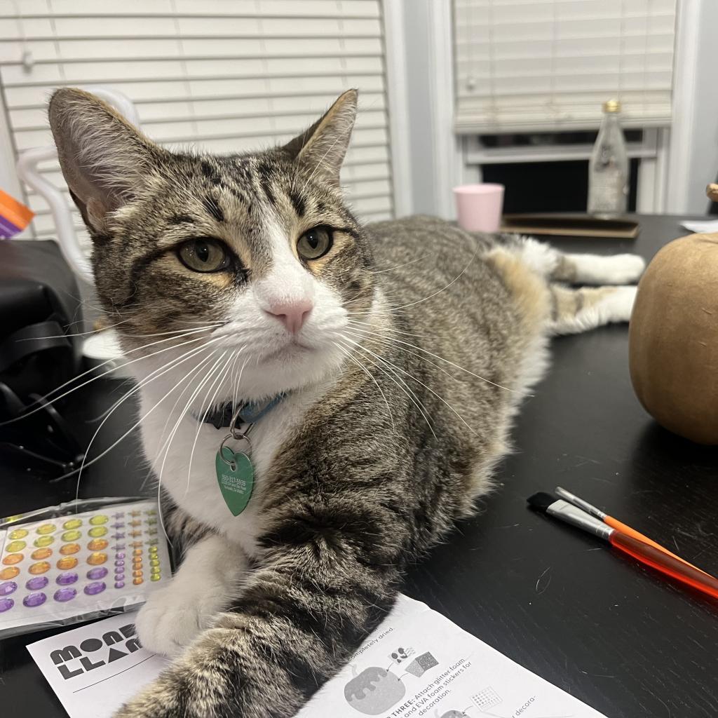 Max