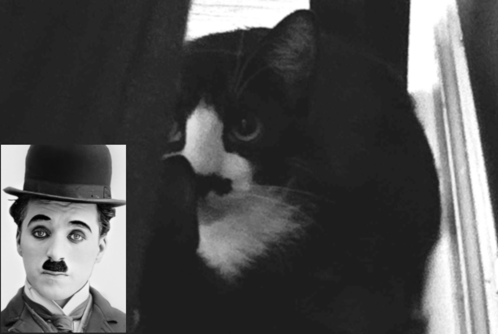 Charlie Chaplin