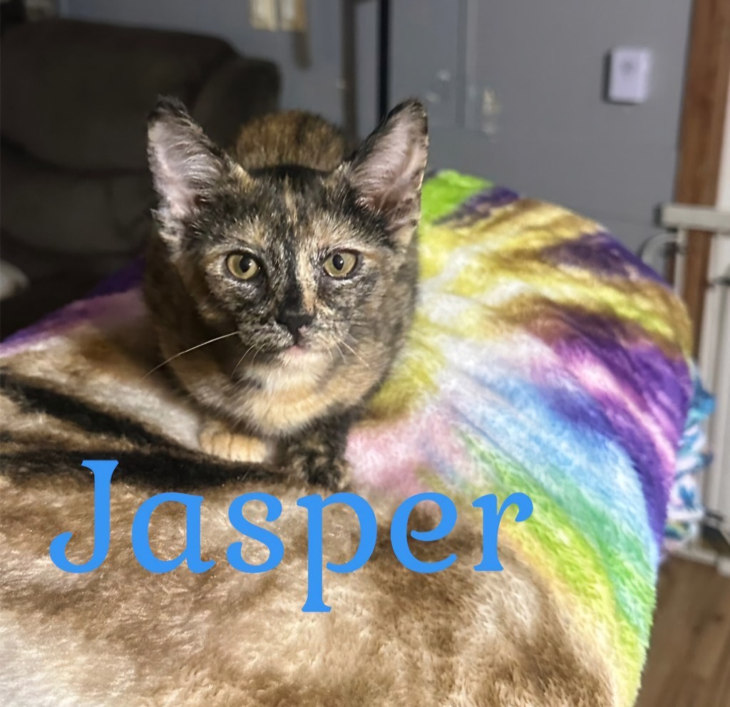 Jasper