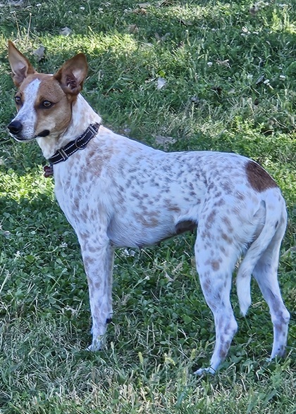 Lucy