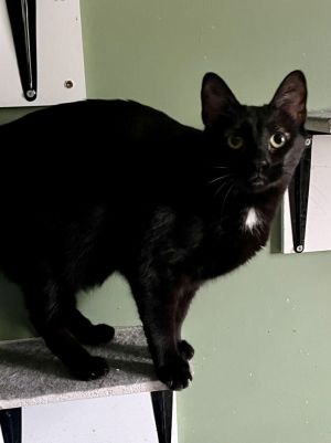 Luna