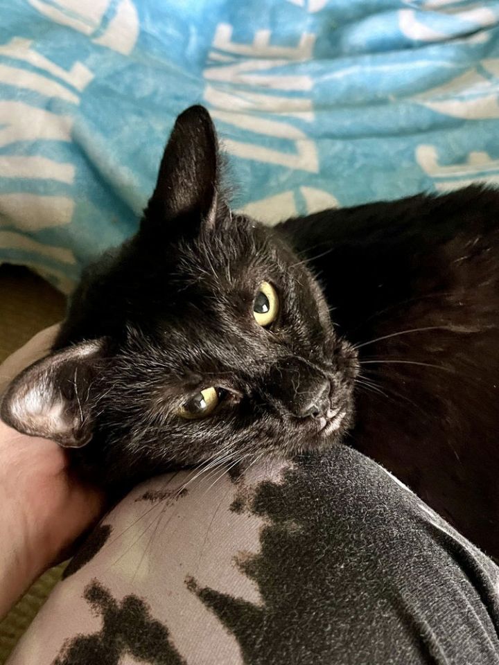 Luna 2