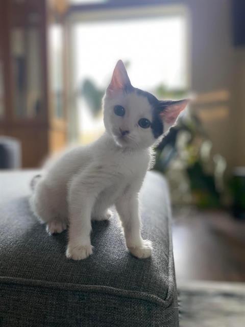 MARIBEL
