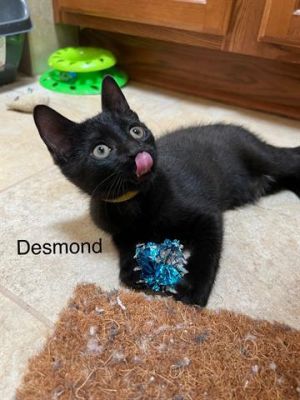 DESMOND