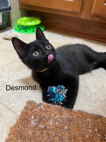 DESMOND 1