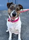 Khloe - Adopt Me! photo 3