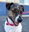 Khloe - Adopt Me! photo 4
