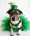 Khloe - Adopt Me! photo 6
