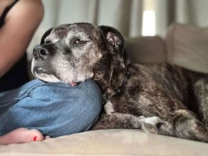Harlan, Senior Male unknown