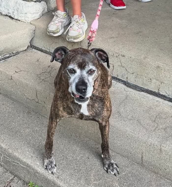 Harlan