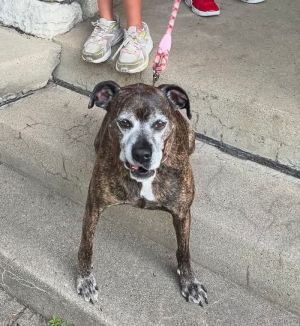 Harlan, Senior Male unknown