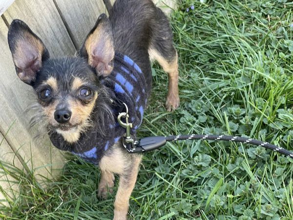 Gutherie thumbnail 2