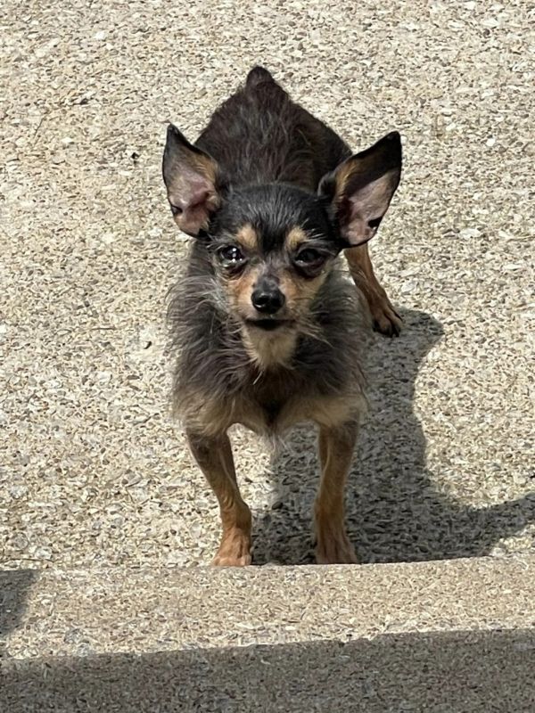 Gutherie thumbnail 3