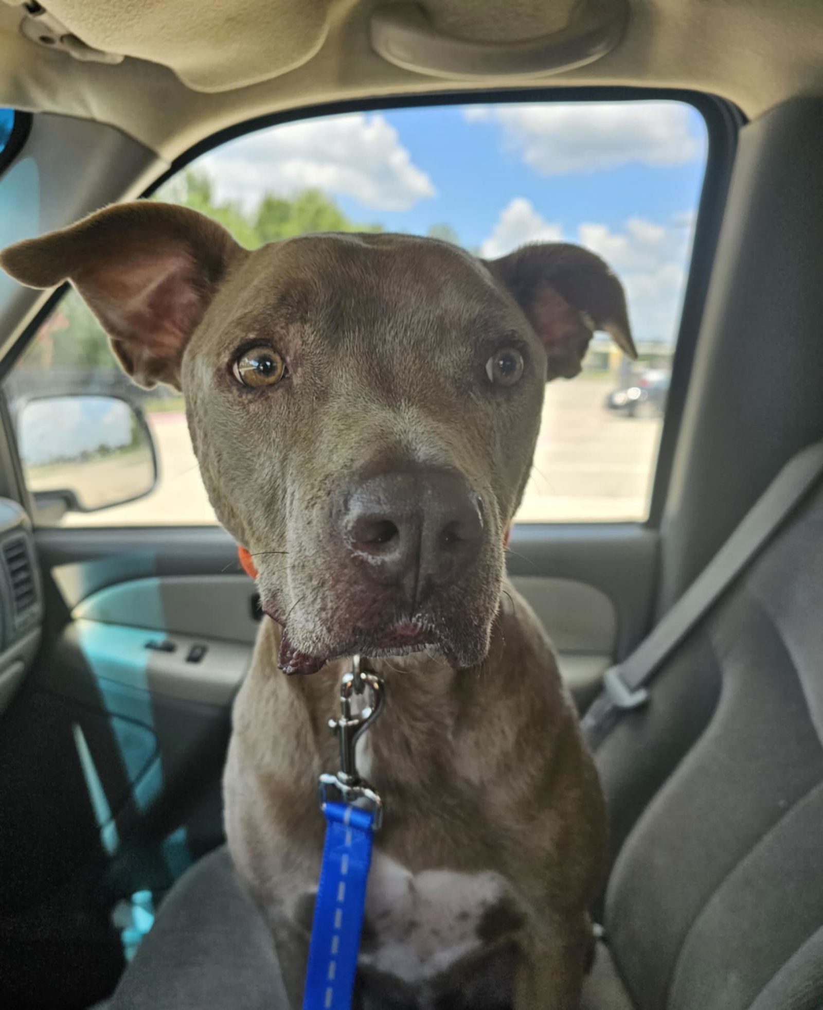 Monty - Miles of Smiles!