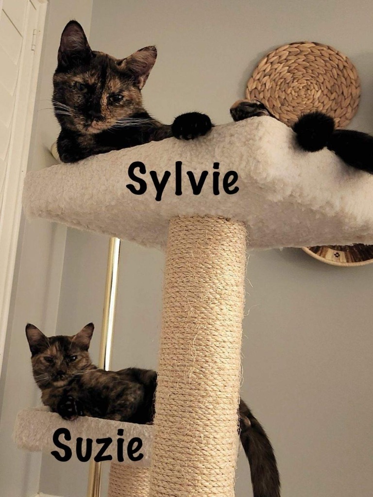 Sylvie