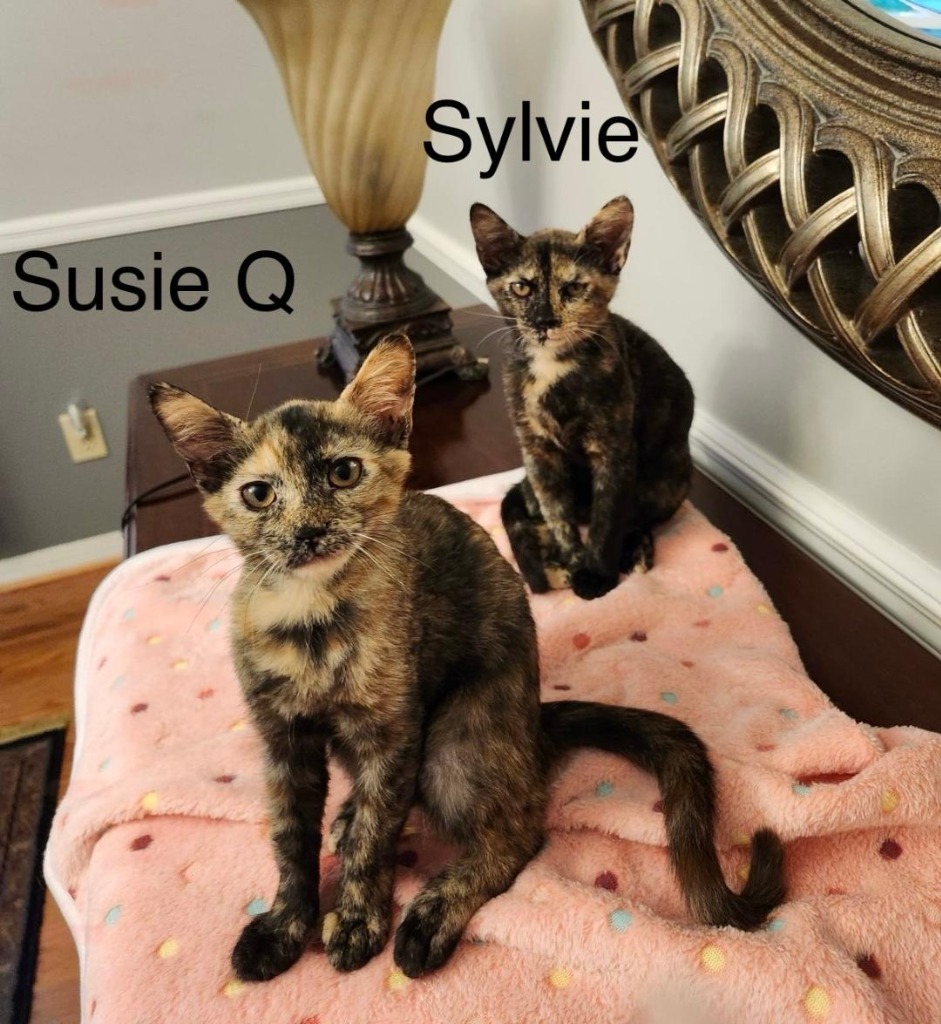 Sylvie