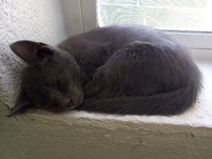 Nathan: Petco Klamath Falls 3