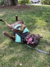 Titus photo 4