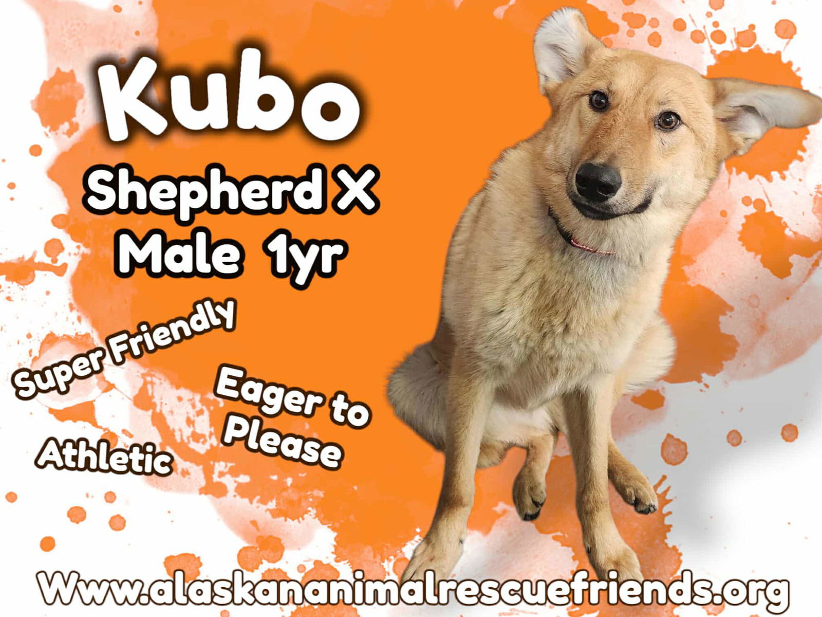 Kubo
