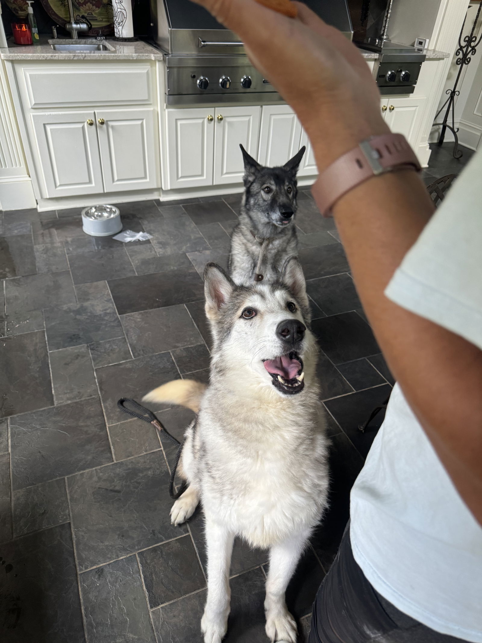 Kovu