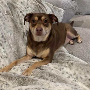 Copper