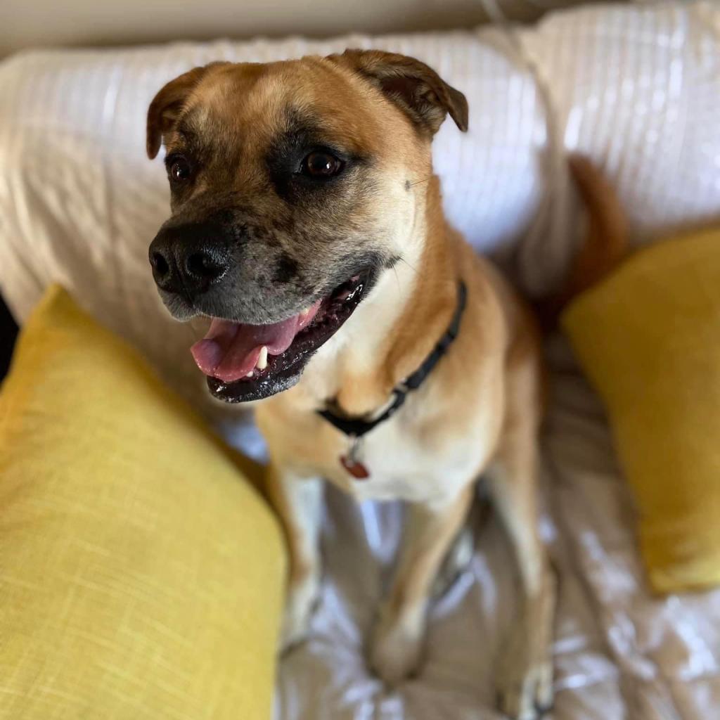 Lyle (Charlie)