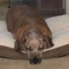 Binky photo 2