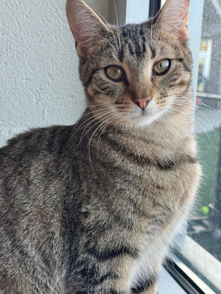 Rosie