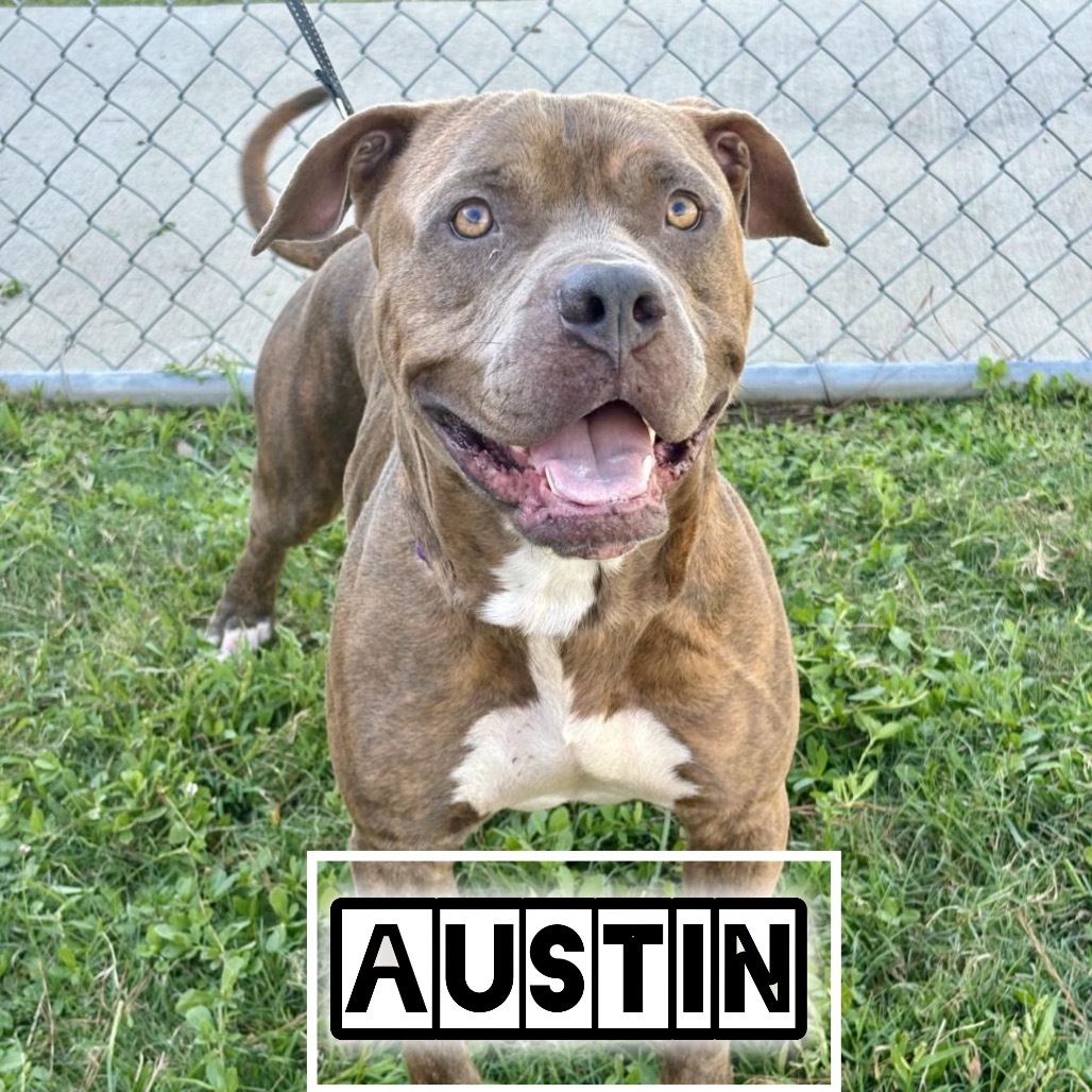 Austin