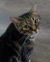 Momma Tabitha photo 3