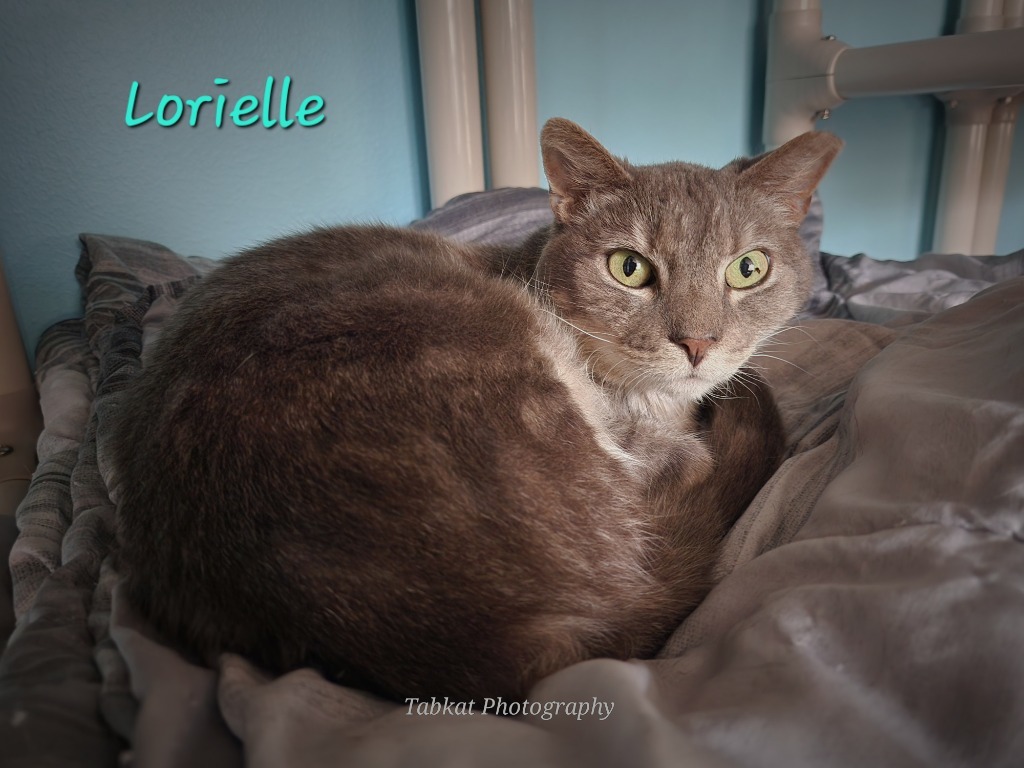 Lorielle