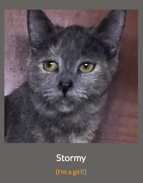 Stormy photo 1