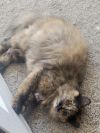Skeeter photo 2