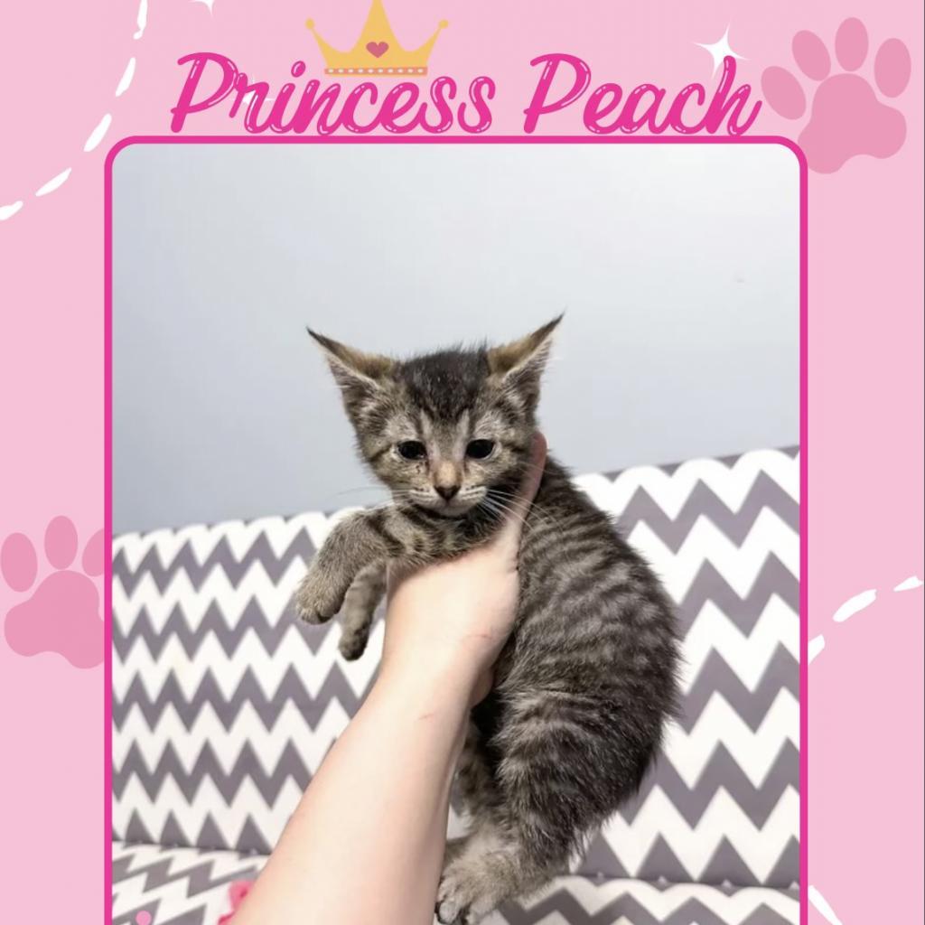 Princess Peach