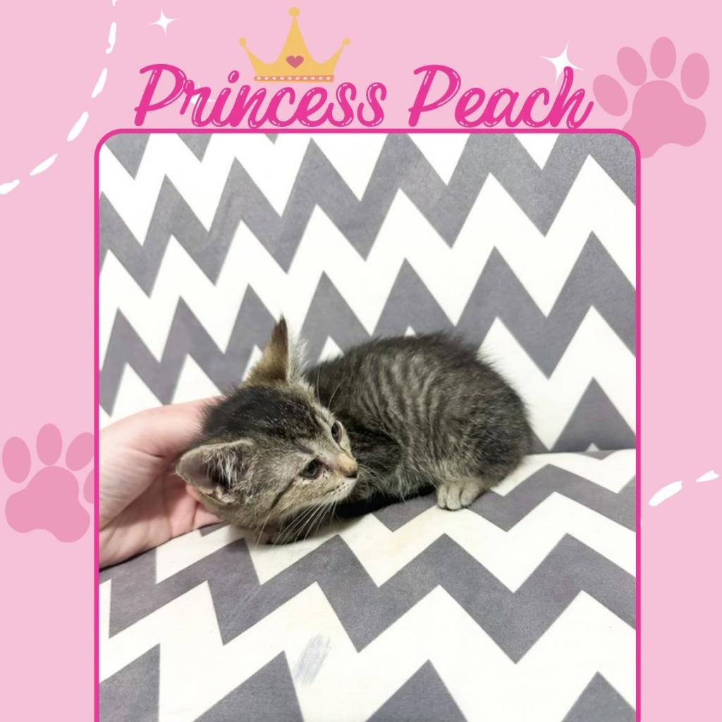 Princess Peach