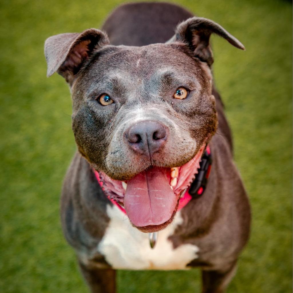 Bonnie-A2141785