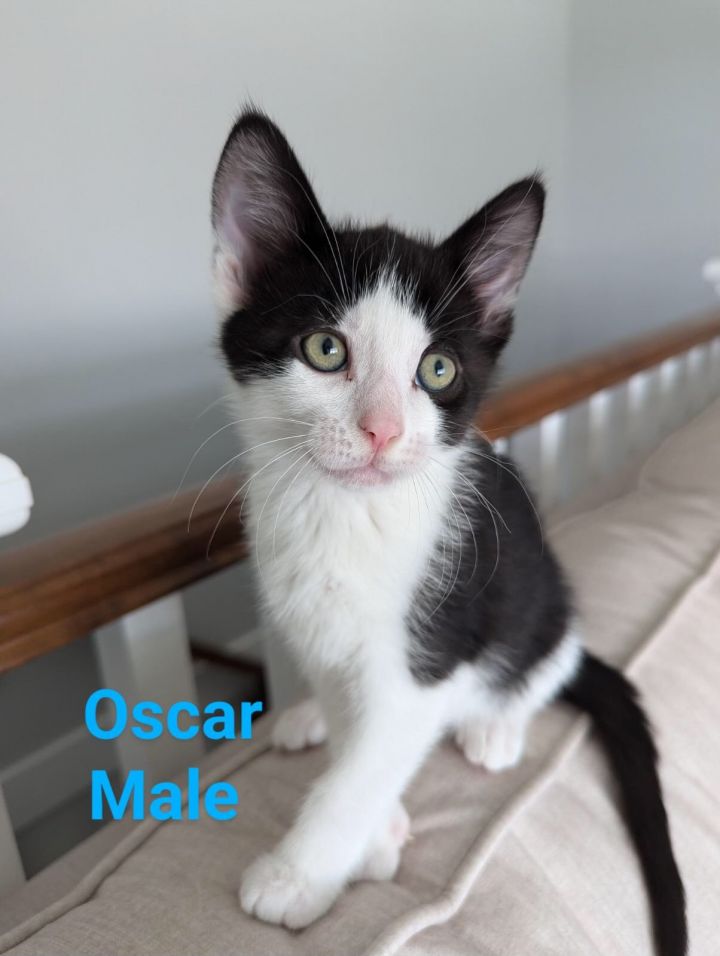 Oscar 1