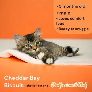 Cheddar Bay Biscuit