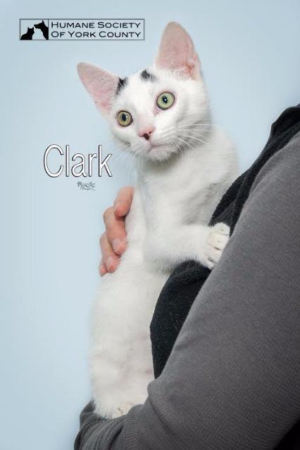 Clark