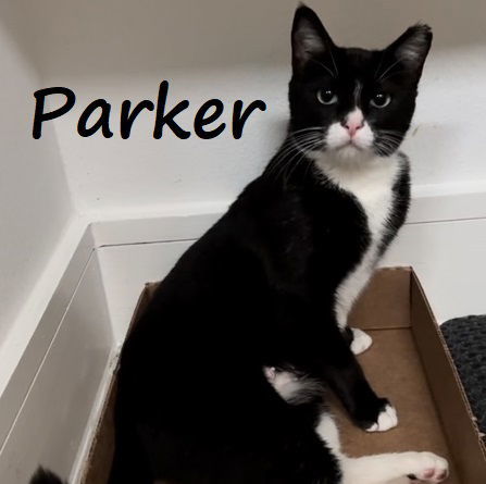 Parker #chirps-when-contented 2