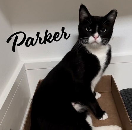 Parker #chirps-when-contented