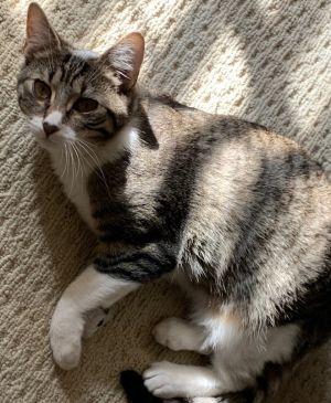 Libby or Lou Lou is so awkward curious and sweet She loves to throw herself down or skip just out