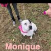 Monique photo 4