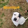 Monique photo 5